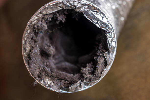 Best Home Air Vent Cleaning  in Cusseta, GA